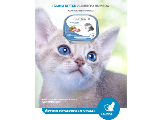 ALIMENTO HUEMDO FELINO KITTEN ( 84333)