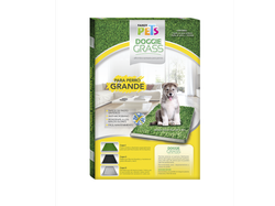 DOGGIE GRASS GDE.  (FL7992)
