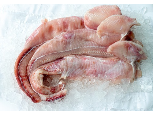 pollo de mar