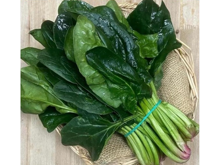 Espinaca invierno