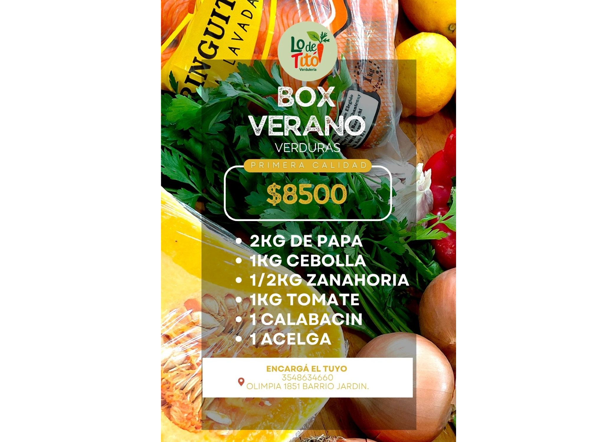 Box Verdura basico