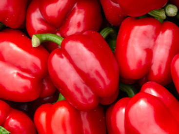 Pimiento rojo