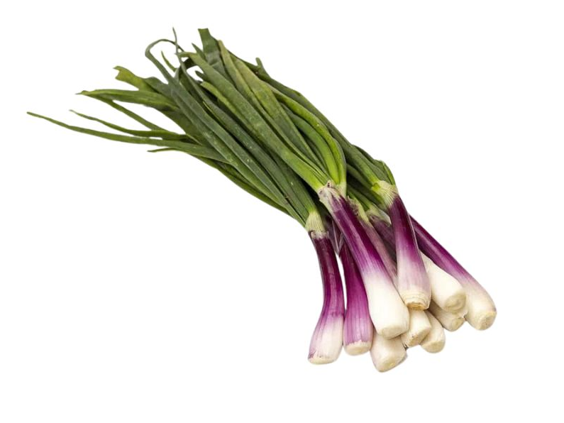 Cebolla de verdeo