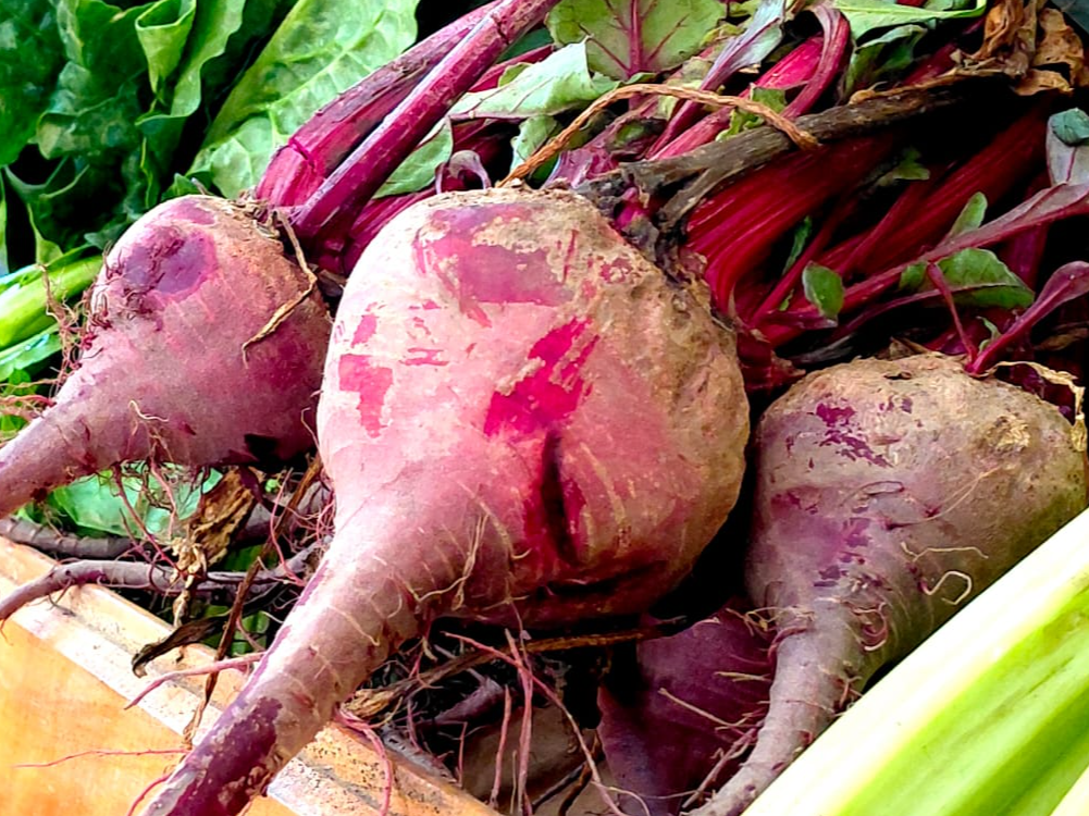 Remolacha