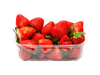 Frutilla Bandeja