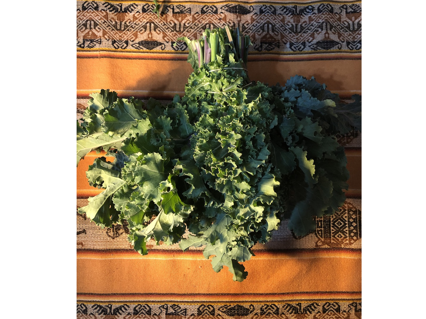 Kale