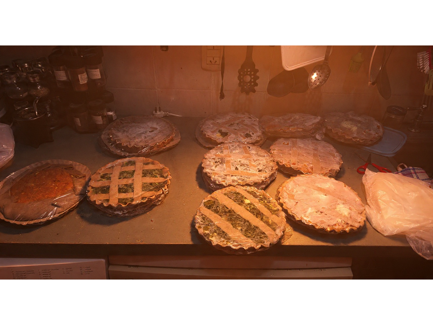TARTAS de Micelio - Red Soberana