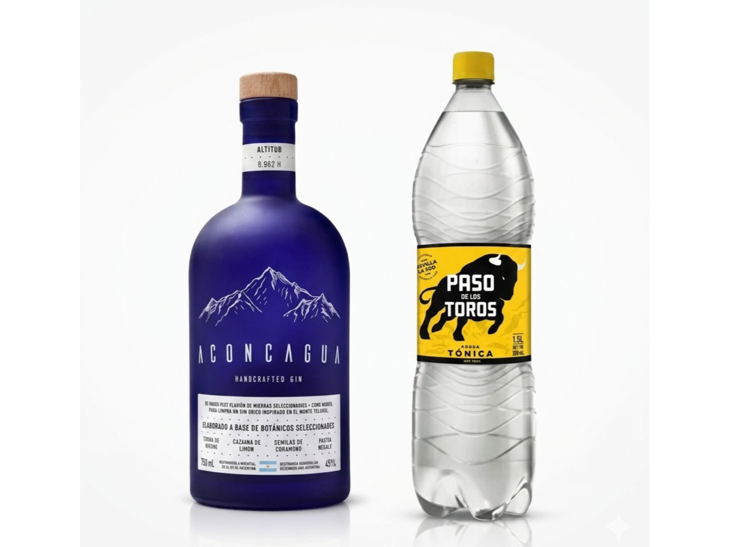 GIN ACONCAGUA MÁS TÓNICA
