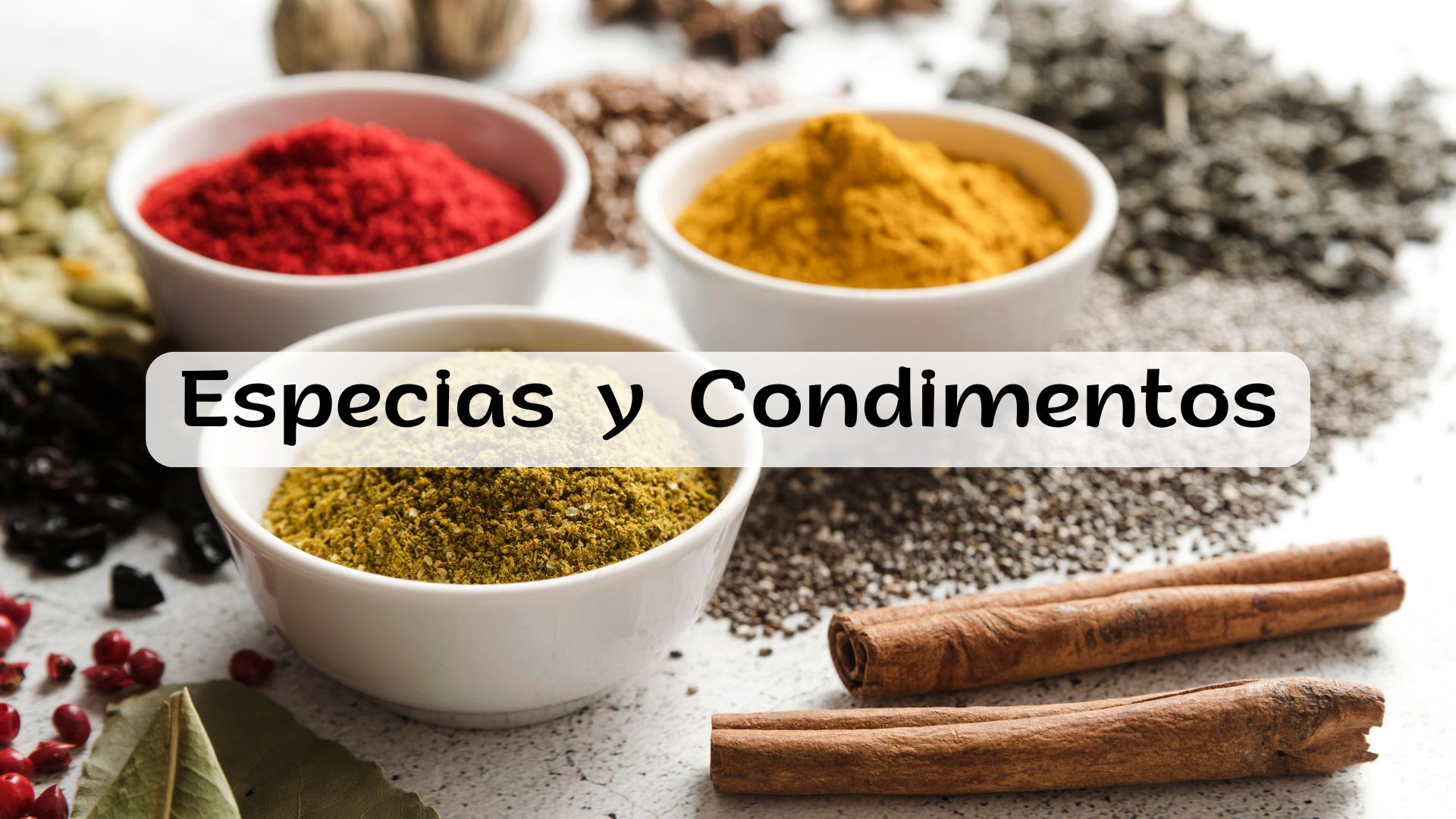 ESPECIAS - CONDIMENTOS