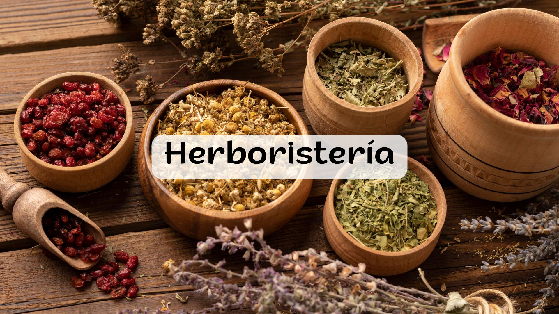 HERBORISTERIA