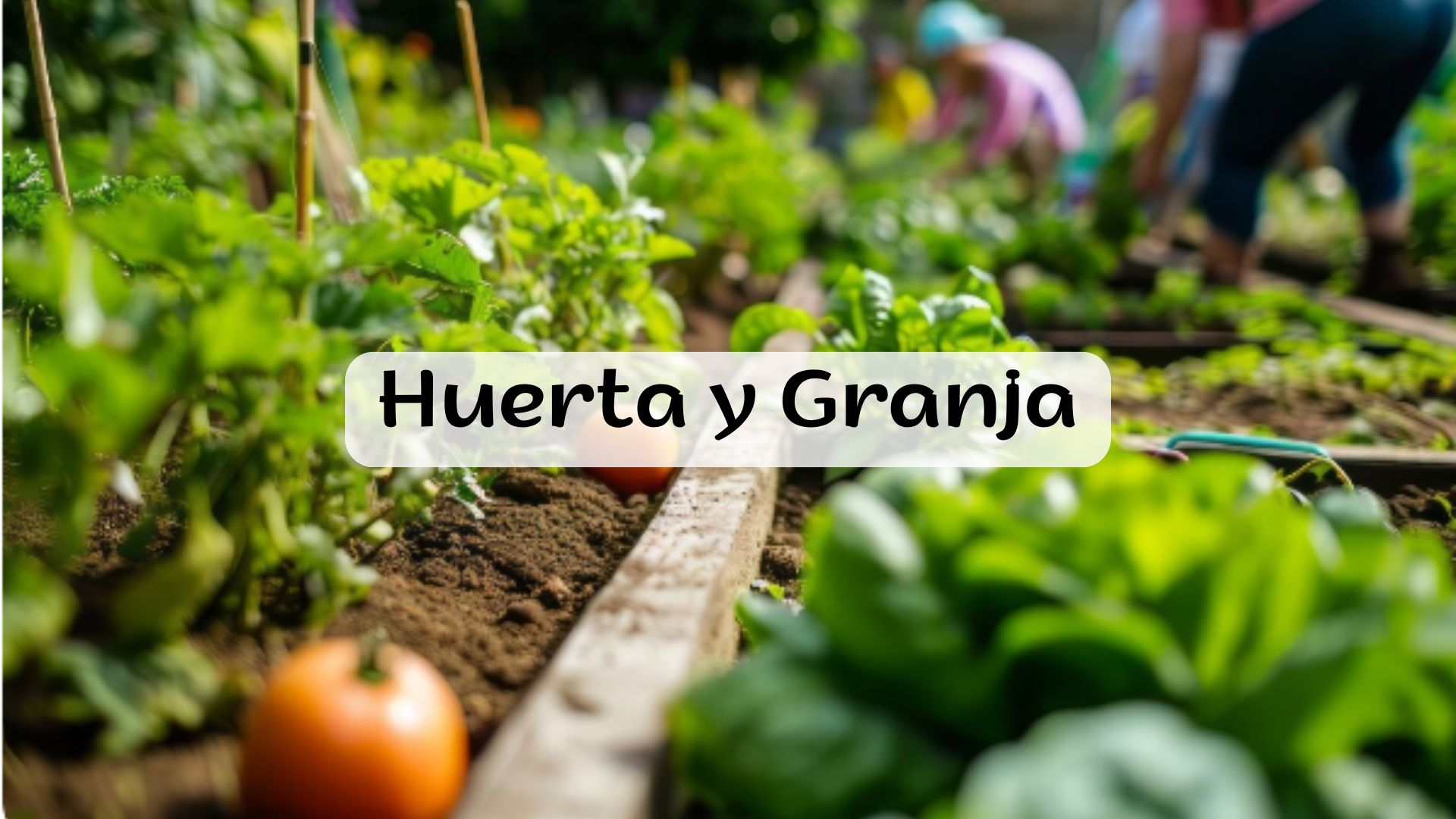 HUERTA Y GRANJA