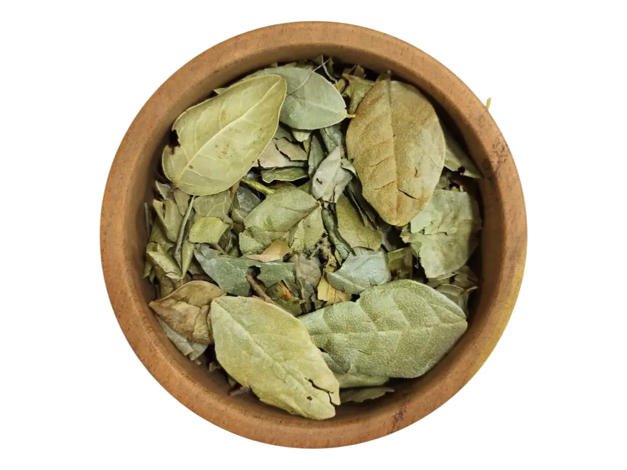 Boldo Hojas x 25 gr