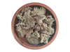 Barba de Piedra x 50 gr