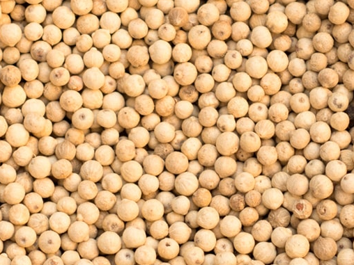 Pimienta blanca en granos
