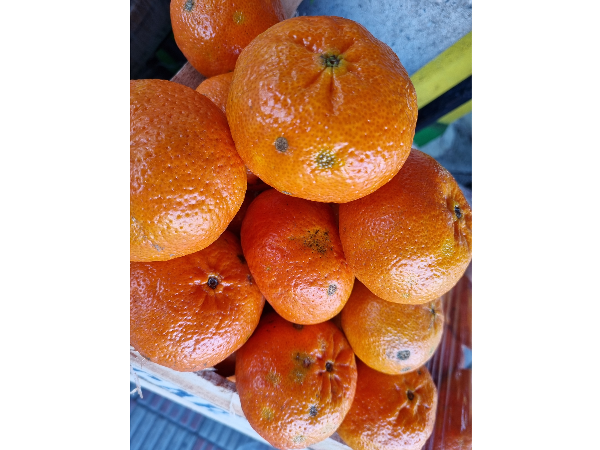 Mandarina Encore