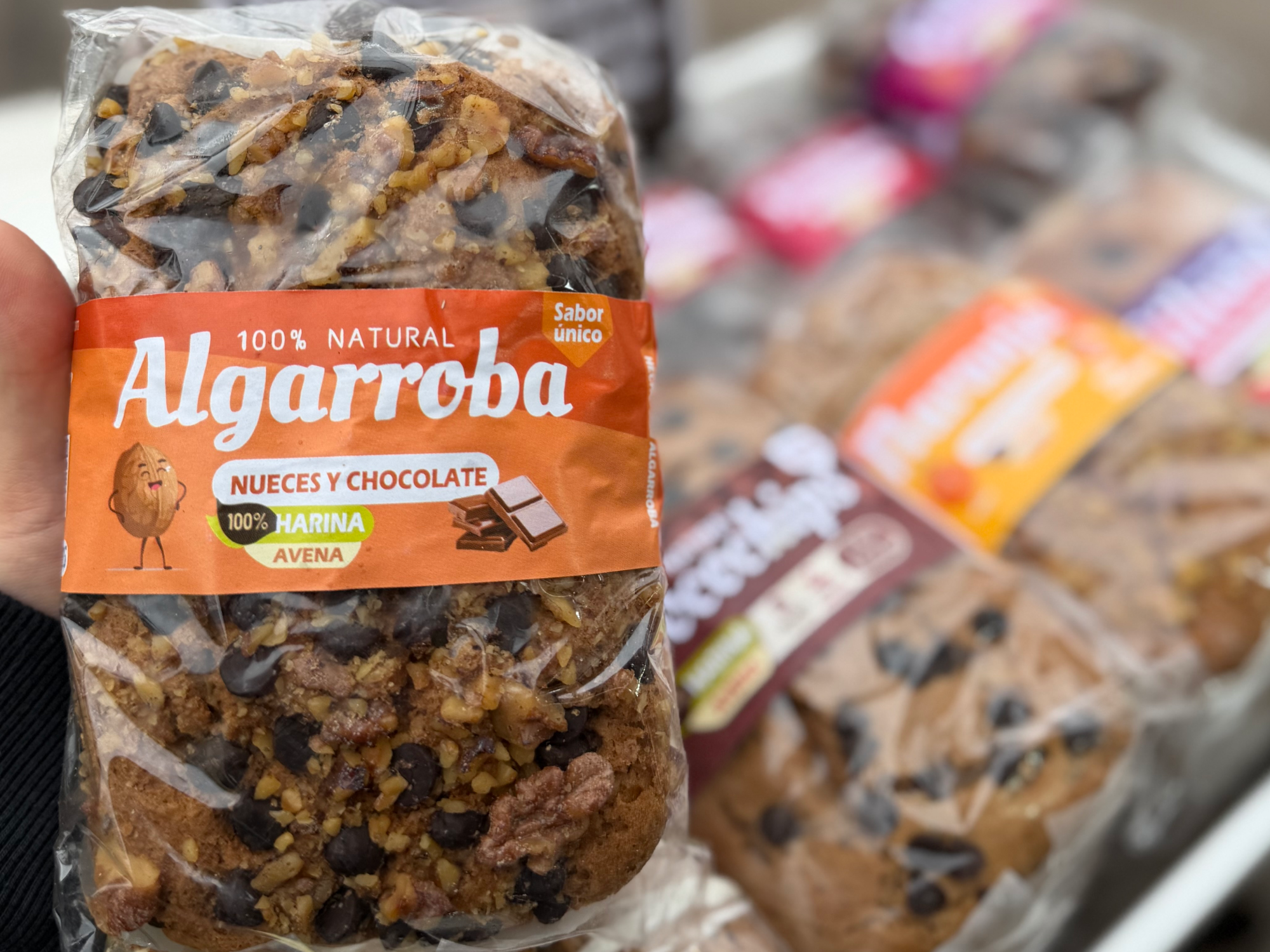 Budin Algarroba