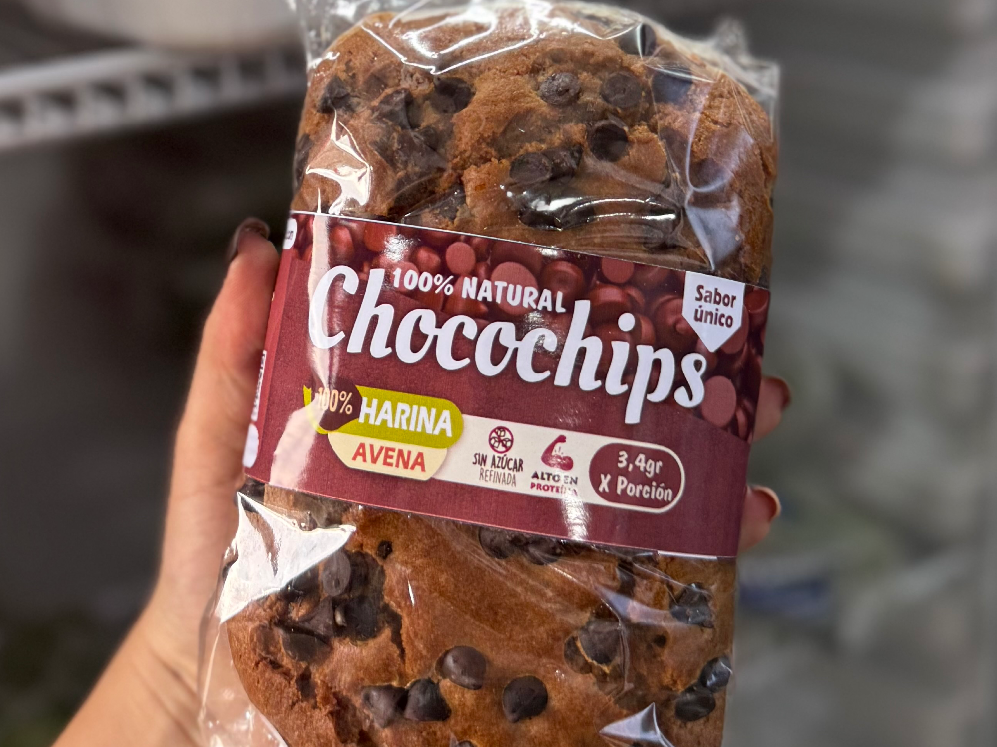 Budin de Choco Chips