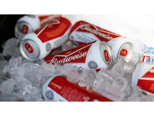 BUDWISER