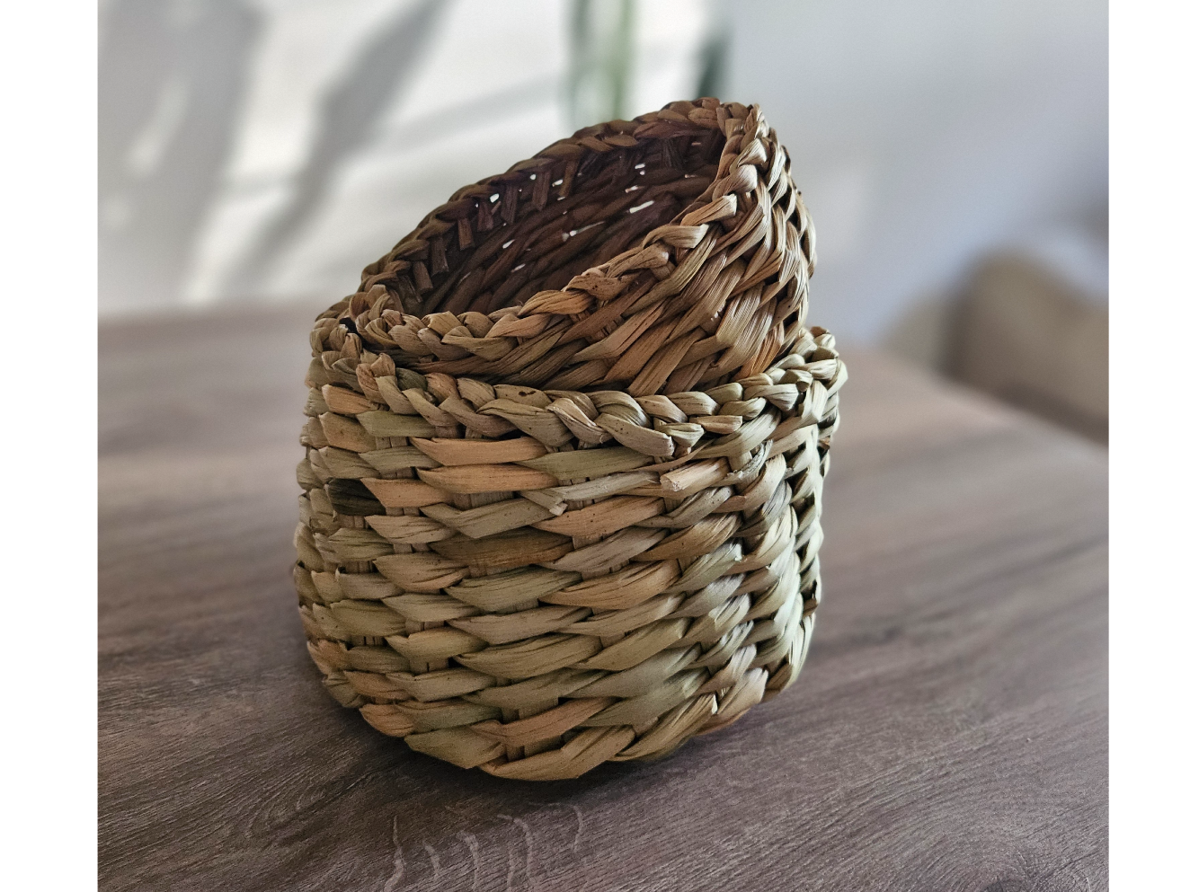 Macetero de Junco 7x16cm