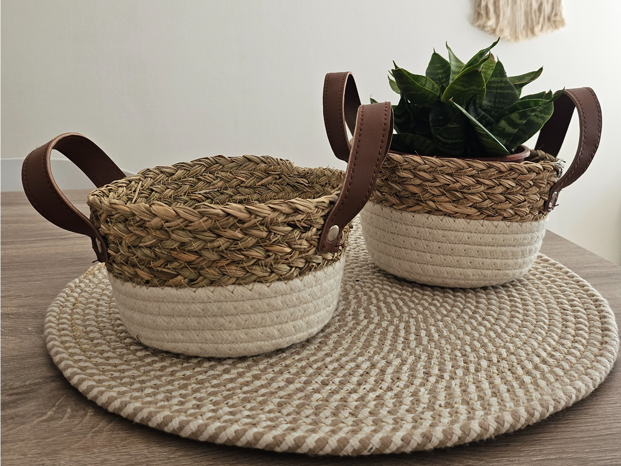 Contendor con Manijas