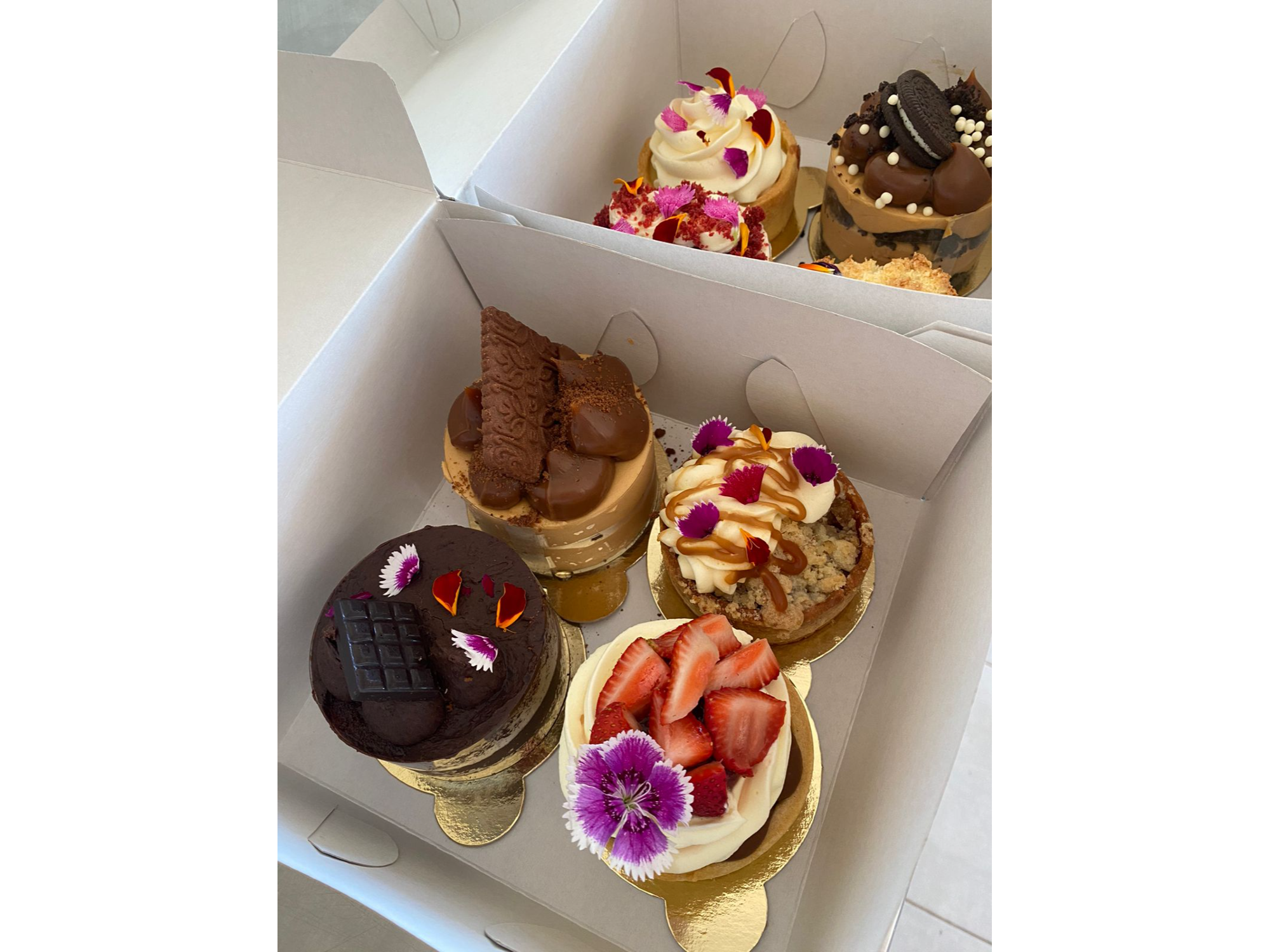 Box tortitas 8 cm