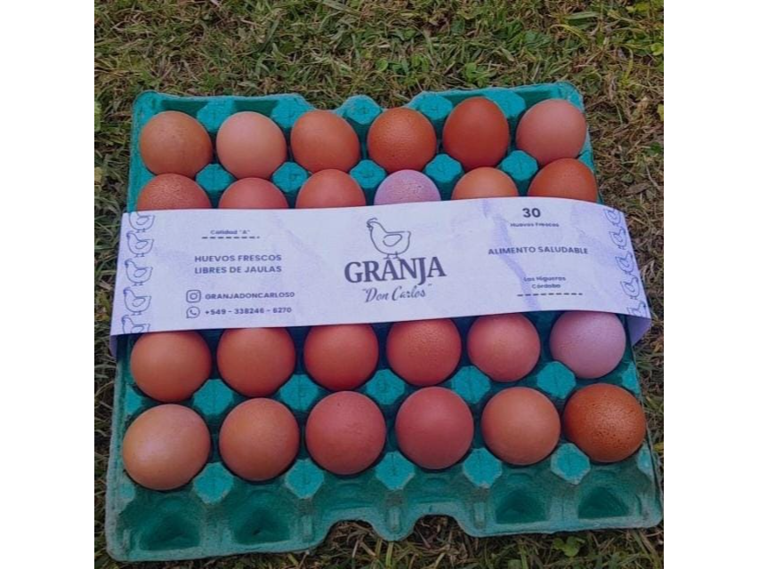 Huevos Grandes