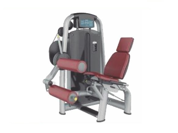 BC24 - FEMORAL SENTADO