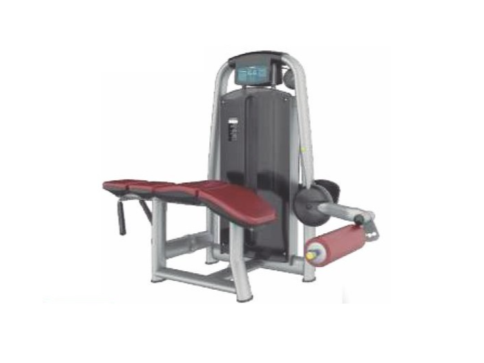 BC37 - CAMILLA FEMORALES