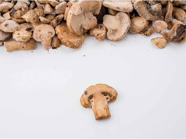 CHAMPIGNON