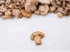 CHAMPIGNON