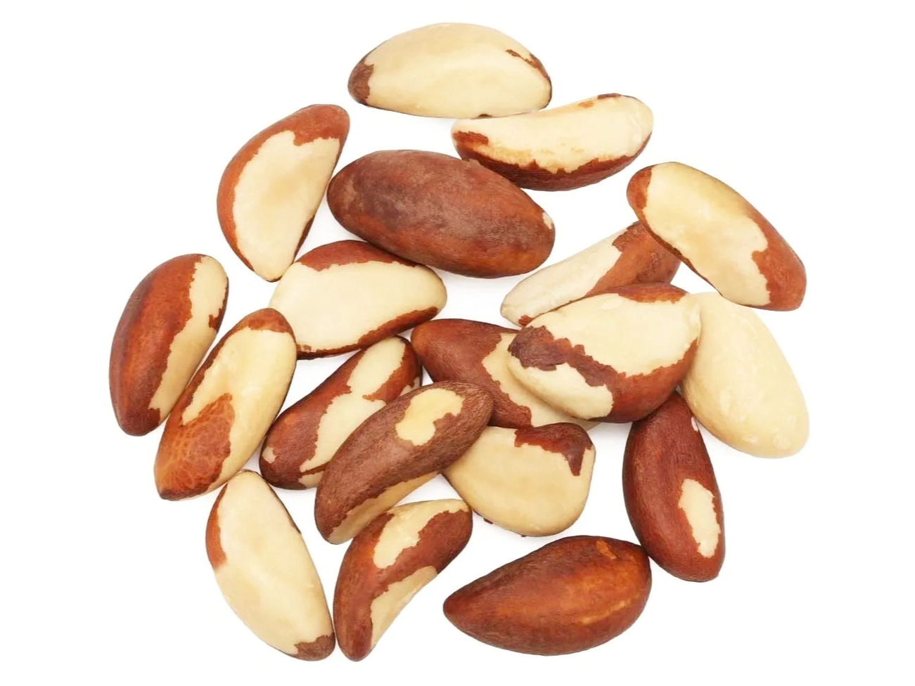 CASTAÑAS DE PARA