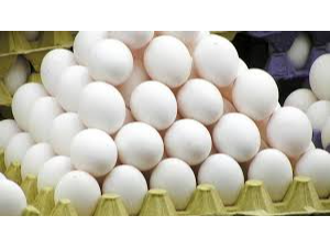 Huevos Blancos Grandes