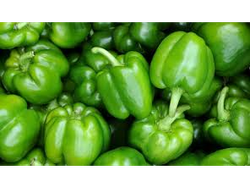 Pimiento Verde