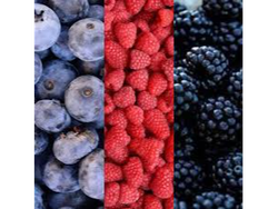 Frutas Rojos
