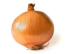 Cebolla