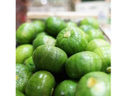 Zapallito Verde