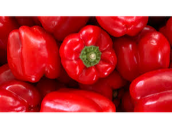 Pimiento Rojo