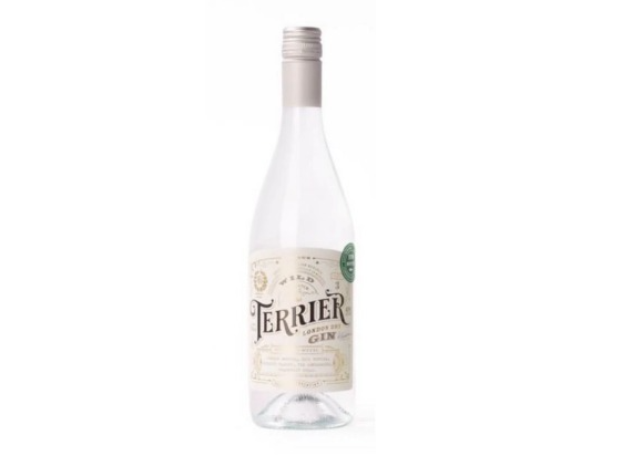 Gin terrier dry