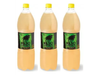 Paso de los Toros Pomelo 1,5 Lt x6