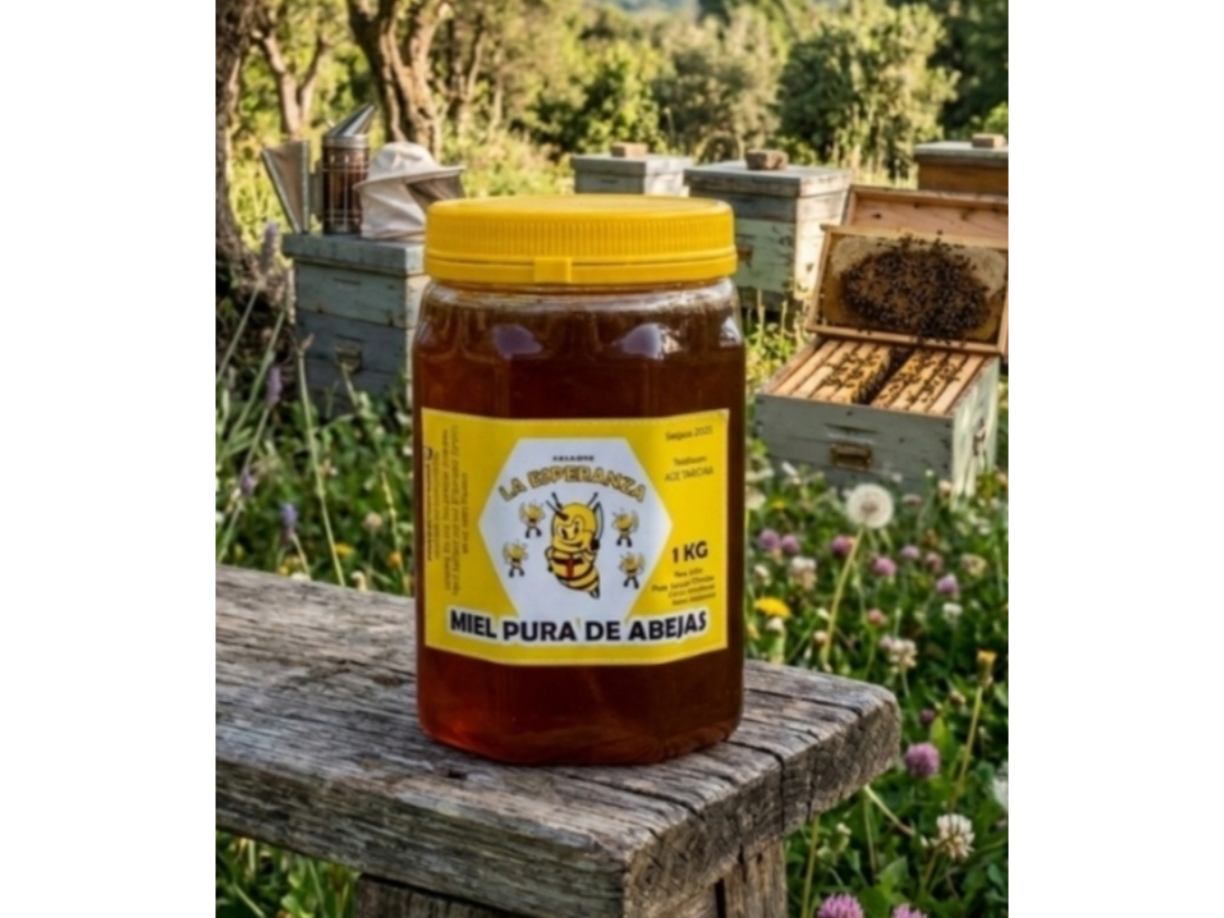 Miel de avejas (pet)