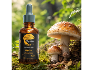 Agarico de Productos Naturales Obera