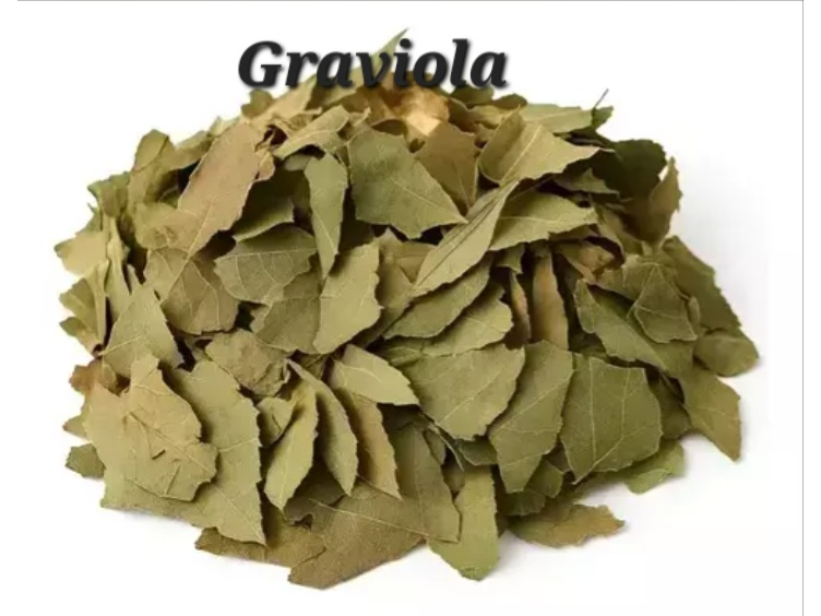 Graviola