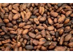 Semillas de Cacao