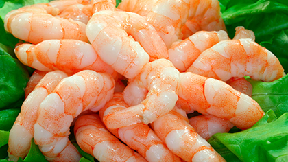 Camarones cocidos importación