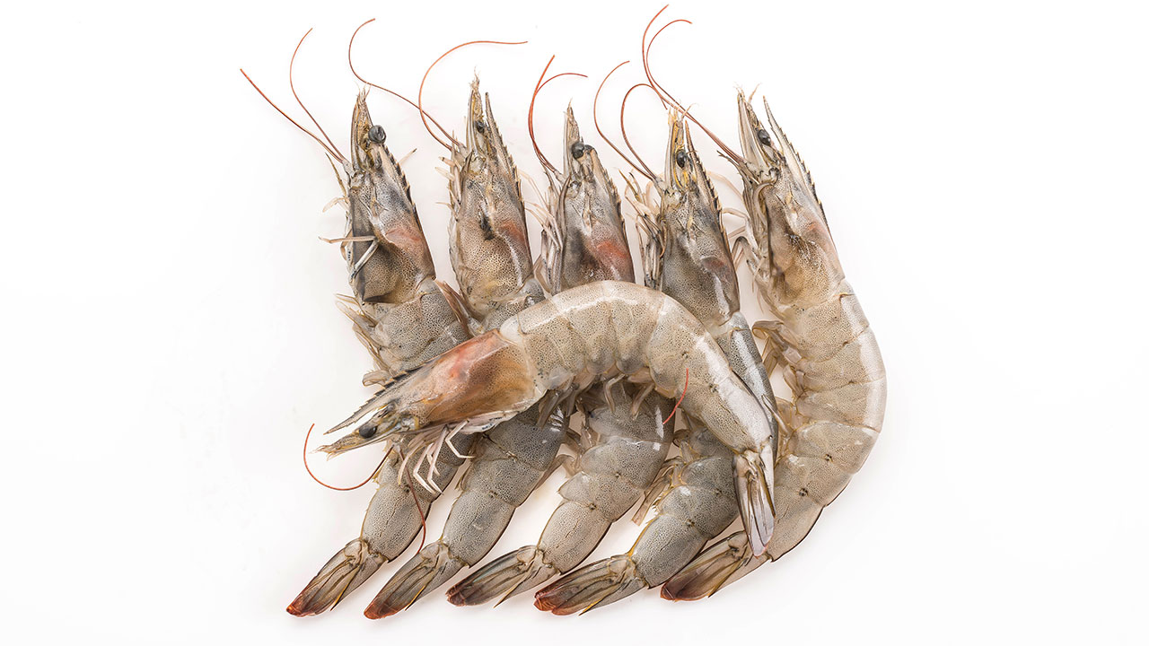 Camarones crudo pelados y desvenados