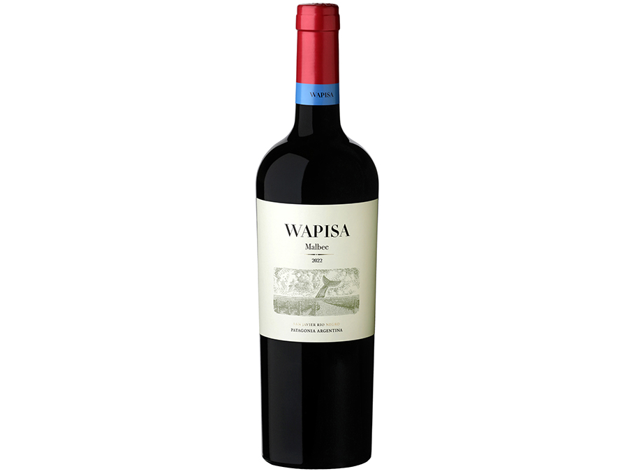 Wapisa