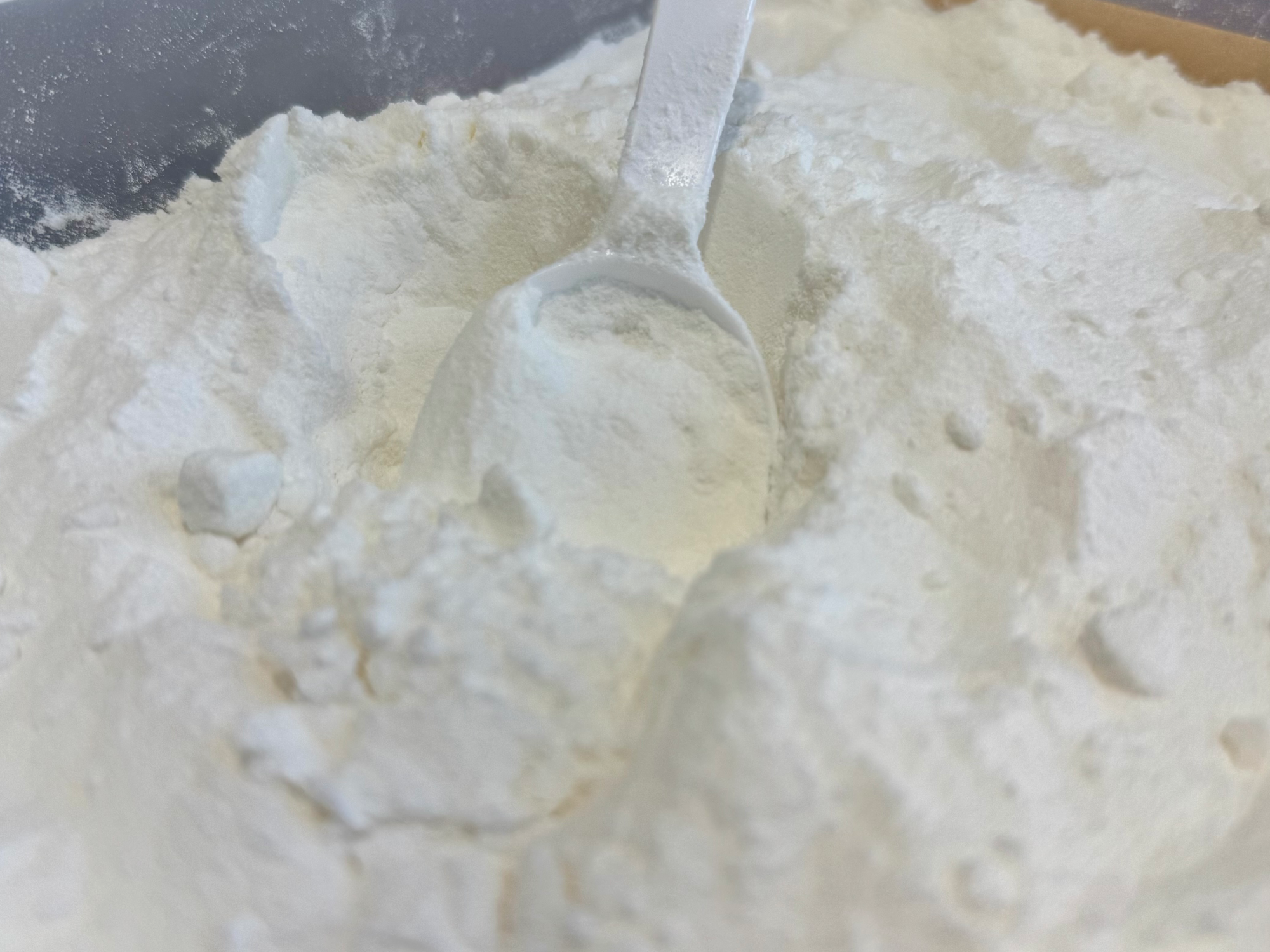 LECHE DE COCO EN POLVO