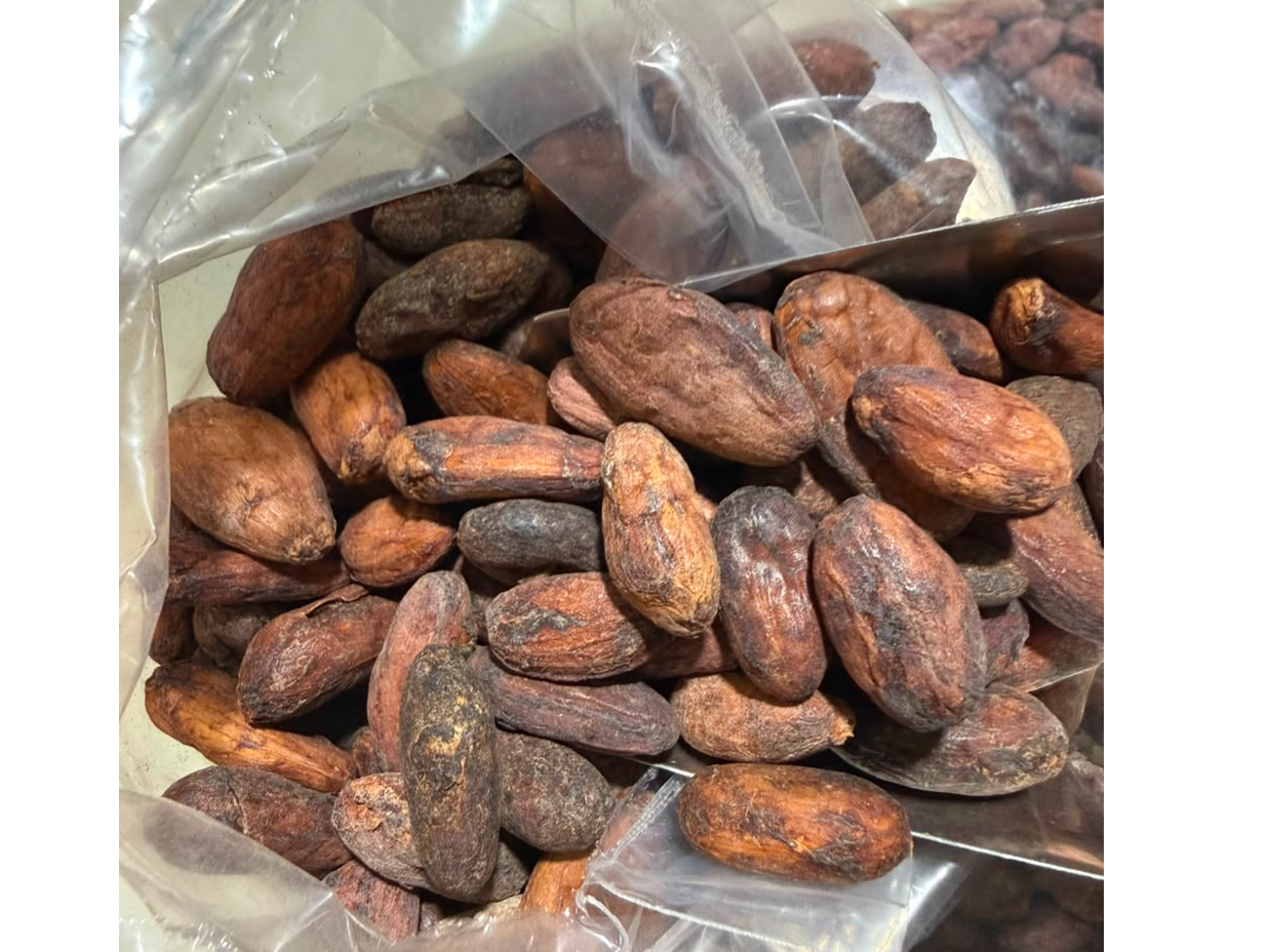 Semilla de Cacao