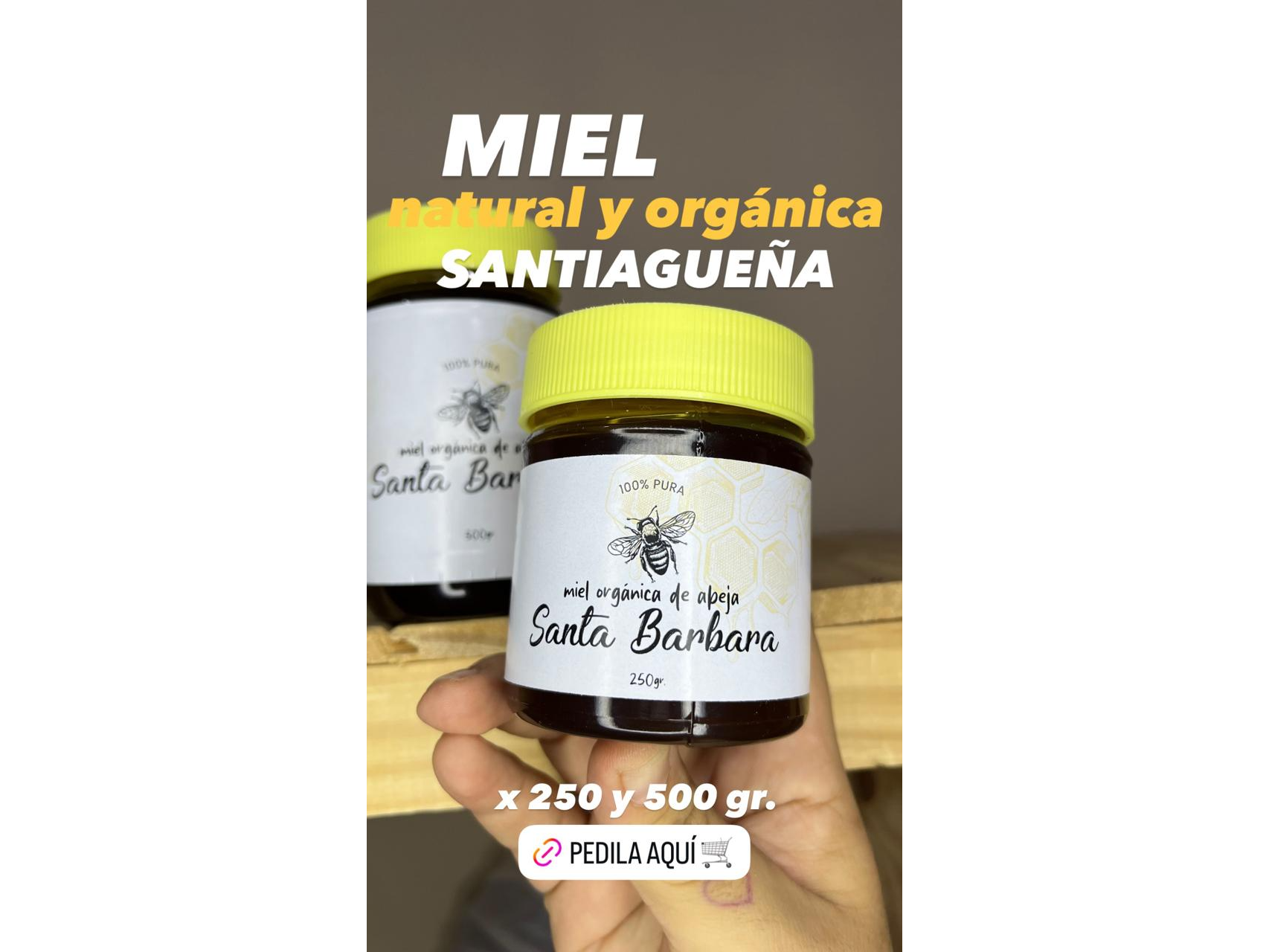 Miel Pura Santa Barbara
