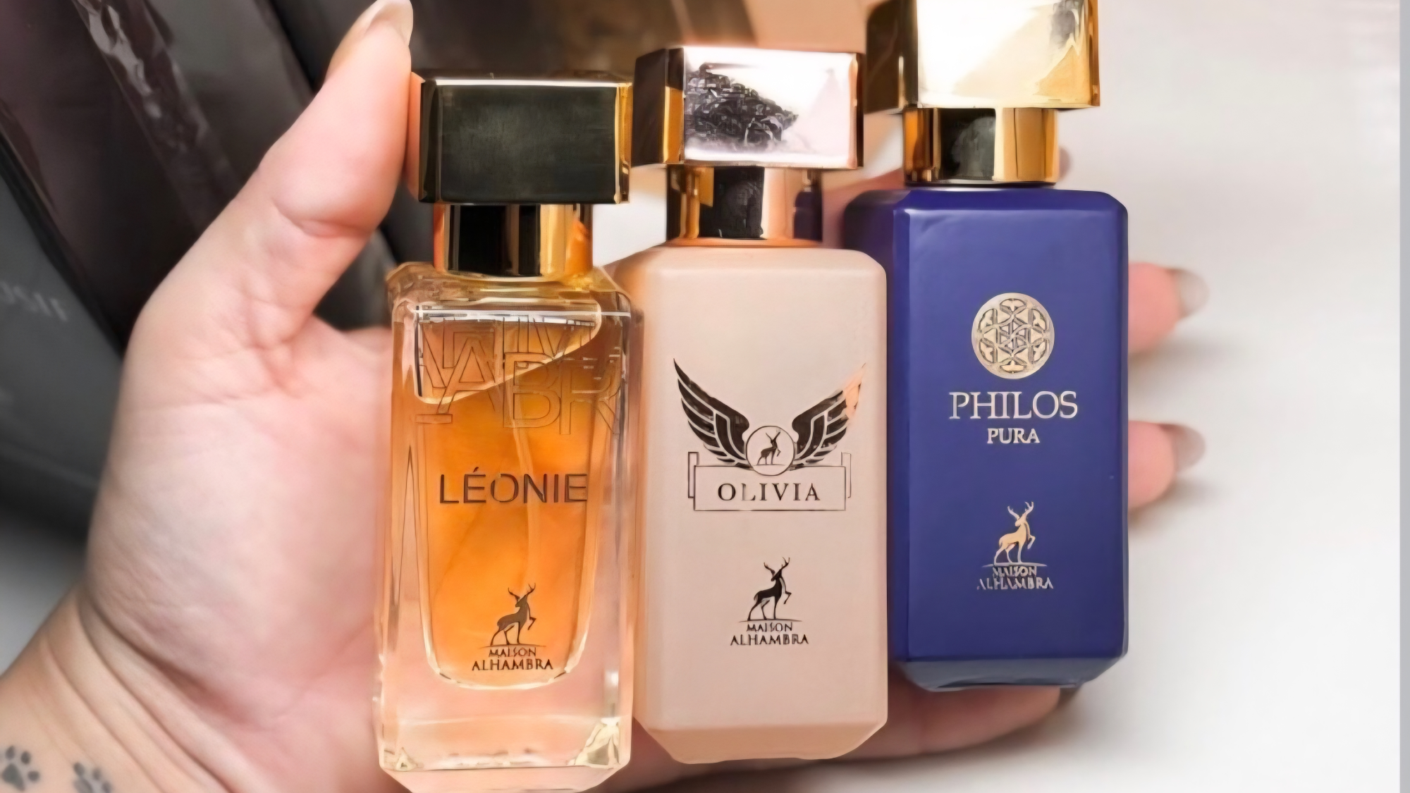 Árabes de 30 ml
